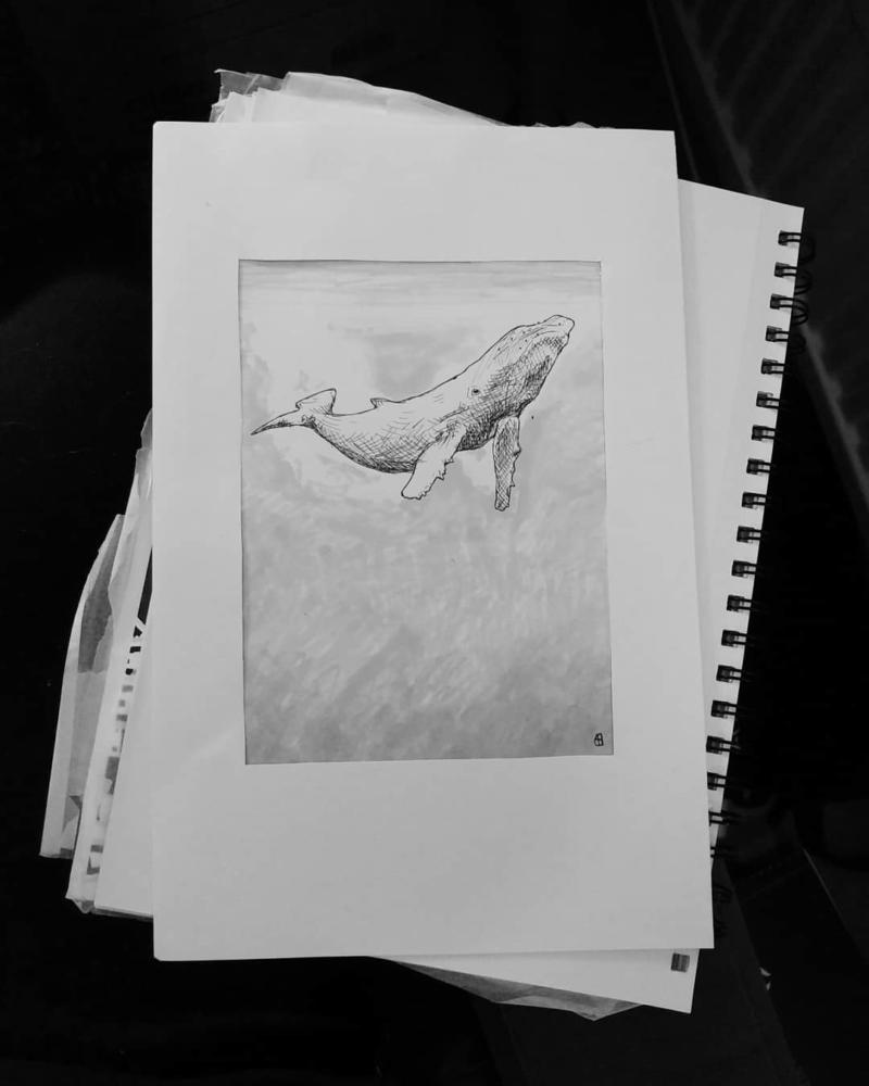 Whale 1